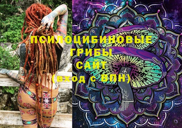 метадон Ельня