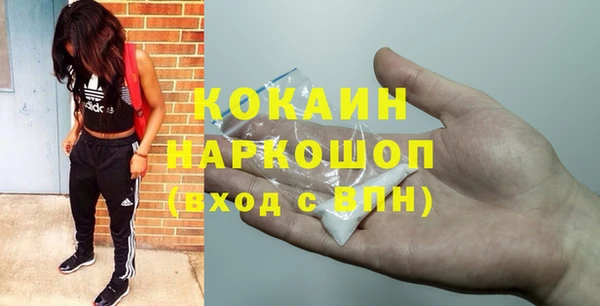 гашик Елизово