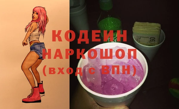 гашик Елизово