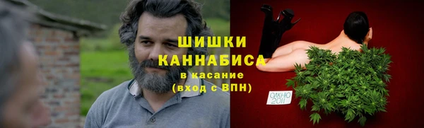 гашик Елизово
