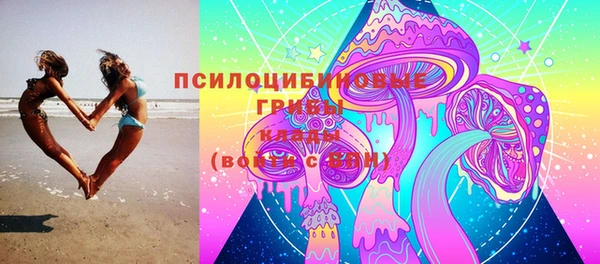 прущая мука Елабуга