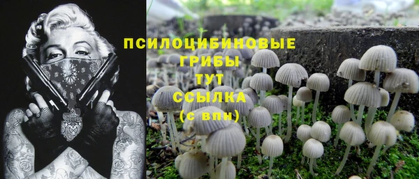 прущая мука Елабуга