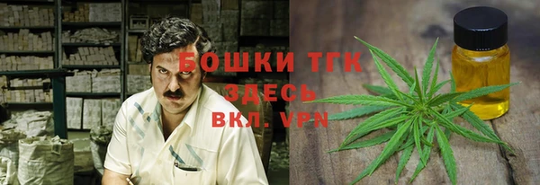 прущая мука Елабуга